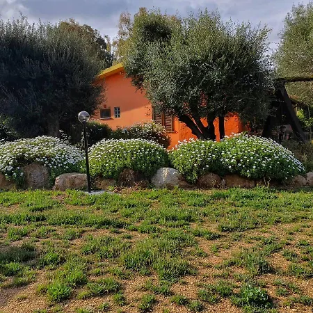 Bed & Breakfast Stella Sulcitana