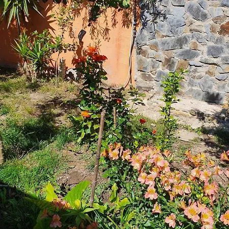 Stella Sulcitana Bed & Breakfast Gonnesa
