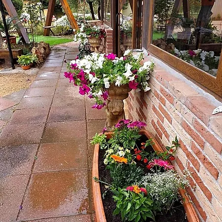 Stella Sulcitana Bed & Breakfast Gonnesa