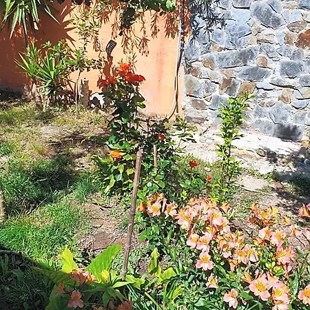 Stella Sulcitana Gonnesa
